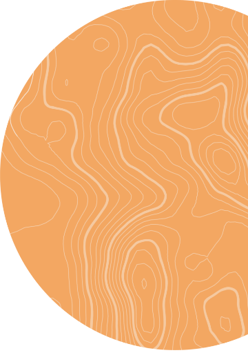 Orange Circle Graphic