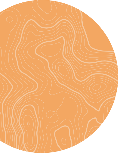 Orange Circle Graphic